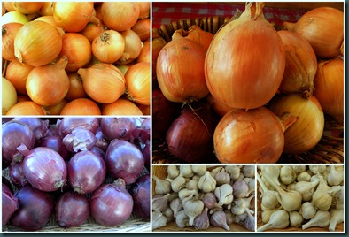 onions collage