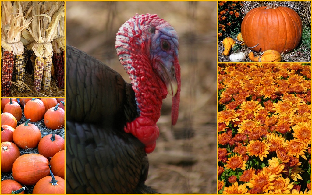 [thanksgiving-collage3.jpg]