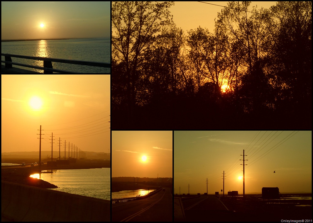 [sunset collage042311[14].jpg]