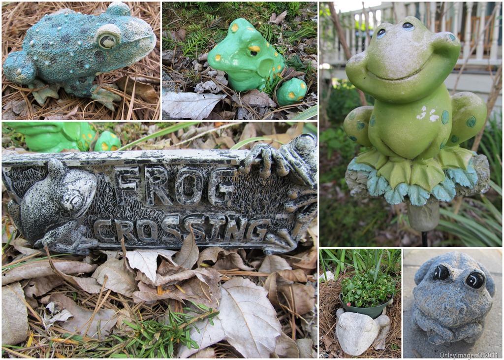 [garden frog collage0511[13].jpg]