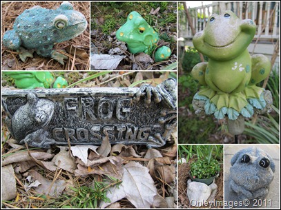 garden frog collage0511