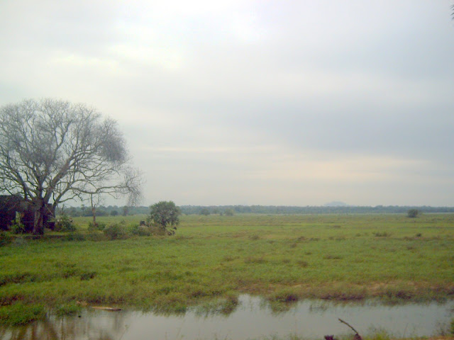 PICT0157.JPG