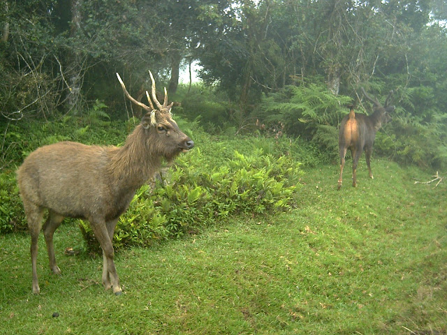 PICT0847.JPG