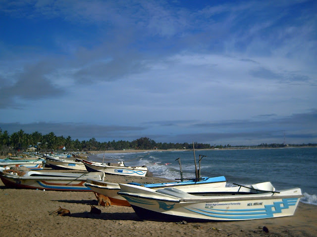PICT0442.JPG