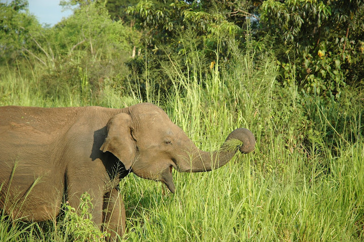 DSC_0169.JPG