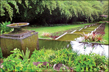 z_p-13-Garden%2520of%2520Brief-3.jpg