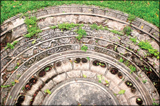 z_p-13-Garden%2520of%2520Brief-7.jpg