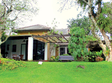 z_p-13-Garden%2520of%2520Brief-4.jpg
