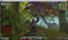 Rift: Planes Of Telara – Closed Beta Screenshots – Part 2