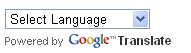 Google website translator widget