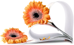 Image4.png