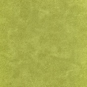 Dimples - Fern Green #1867-G27