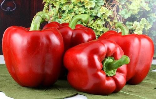 [bell-peppers[3].jpg]