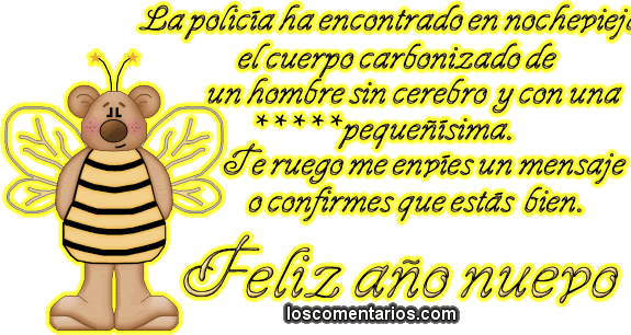 feliz año nuevo (53)