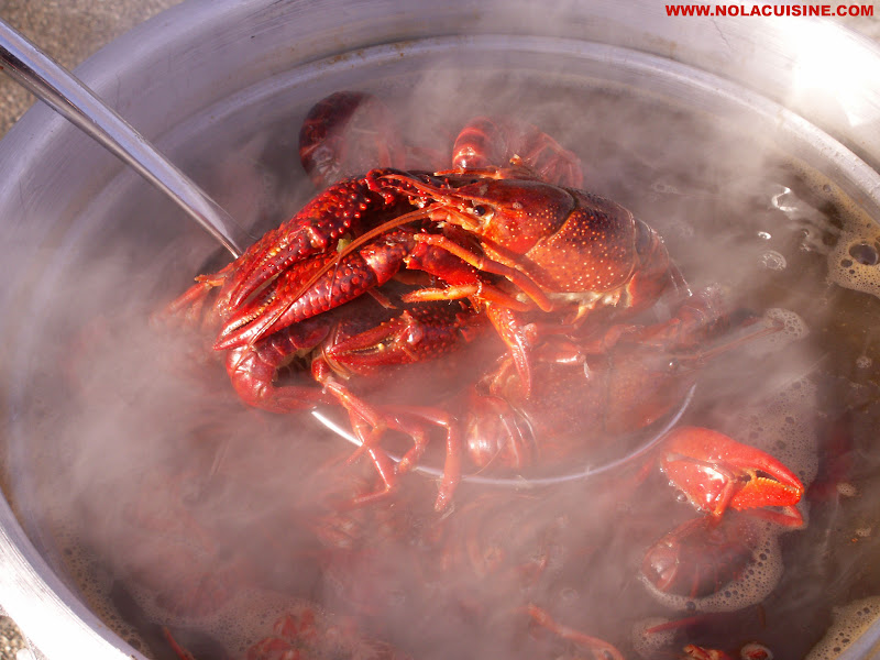 How Many Pounds Of Crawfish To Feed 1 Person Archives Nola Cuisine