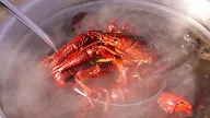 How Many Pounds In A Sack Of Crawfish : • on storing live crawfish before a boil: