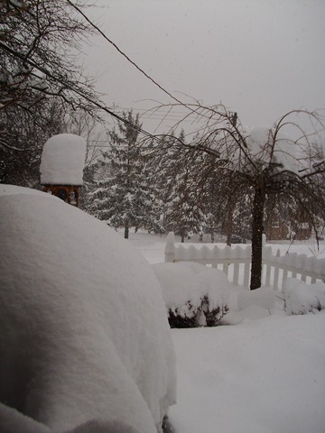 [big snow 2010 001[4].jpg]