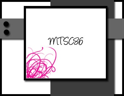 [MTSC86[4].jpg]