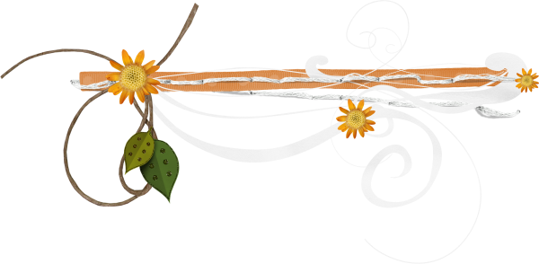 feni04T.png