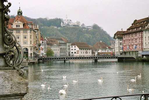 http://lh5.ggpht.com/_Abxy0FxHekc/TE8319AW_aI/AAAAAAAACTM/Y4twOHggIcA/w-swans.jpg