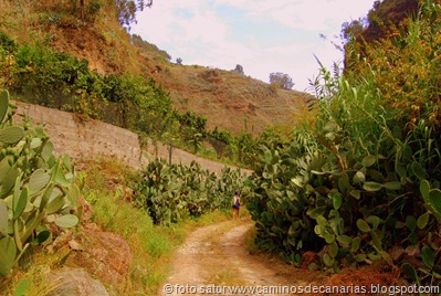 1421 Barranco de los Propios 1421 Barranco de los Propios