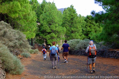 1439 Pinos de Gáldar-Gáldar 1439 Pinos de Gáldar-Gáldar