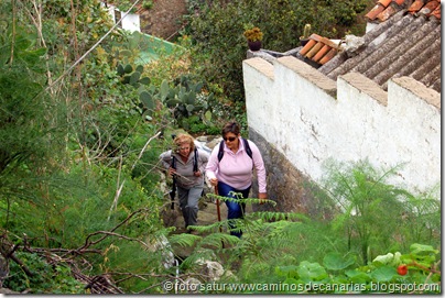 2282 Teror-Cruz Teror 2282 Teror-Cruz Teror