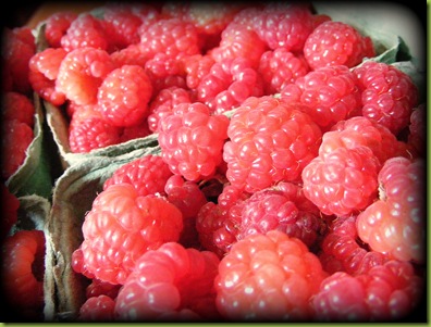 Raspberries.jpeg