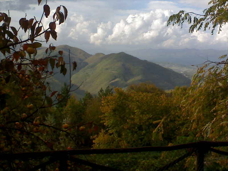 DSC00030.JPG