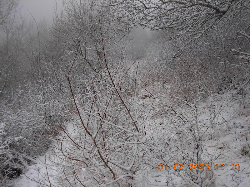 DSCN0072.JPG