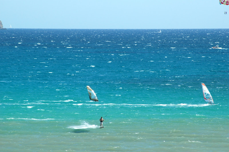 DSC_8230.JPG