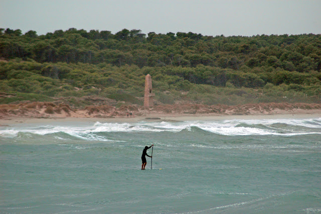 DSC_8885.JPG