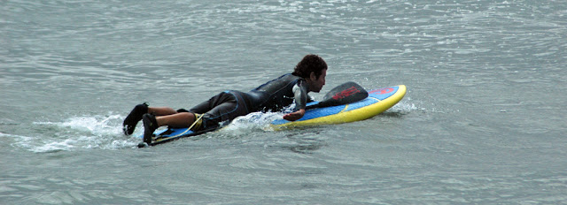 DSC_8878.JPG