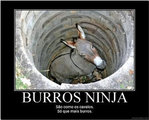 burros.jpg
