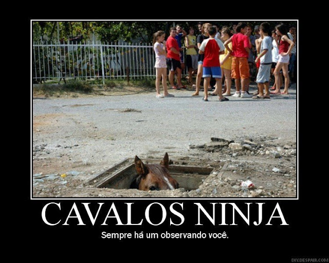 cavalo.jpg