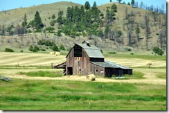 Montana 2009 027