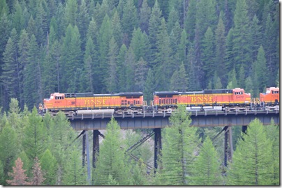 Glacier National Park 2009 026