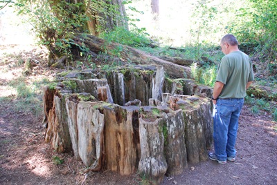 [Marymere Falls 211[3].jpg]