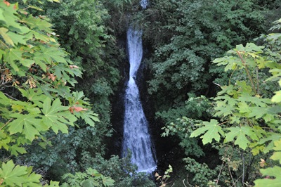 [Oregon Water Falls 055[3].jpg]