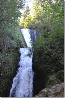 Oregon Water Falls 103
