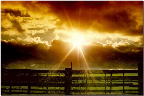 [i LOve The View[3].jpg]