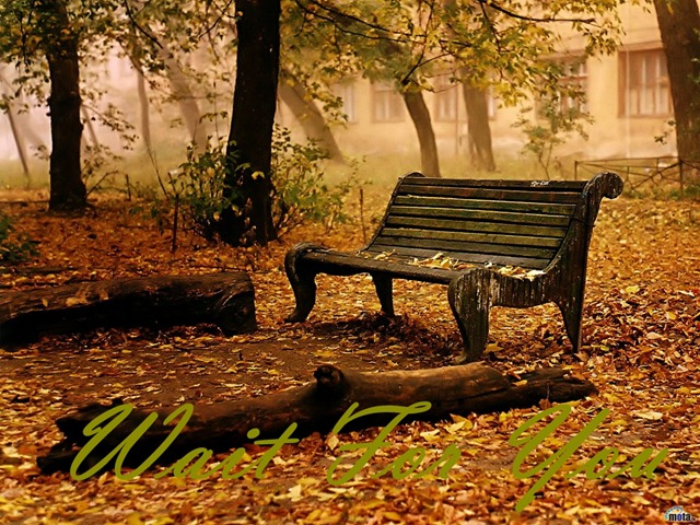 [showimg_Autumn 01[3].jpg]