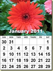 Calendar-2011-New-Year