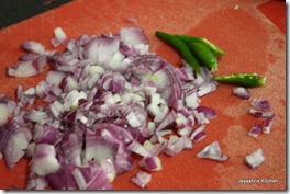 onions and chiili