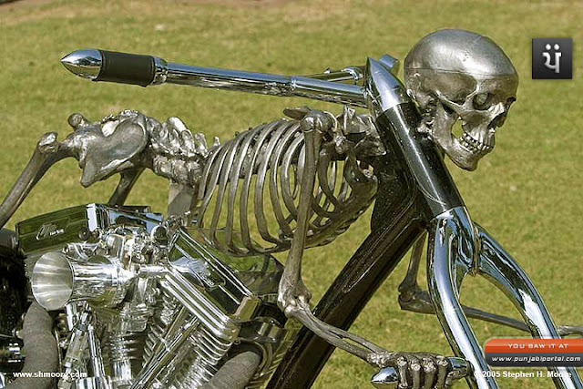 motorcycle, skull bi
