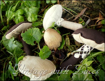 Fabric Mushrooms