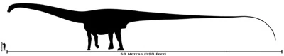 800px-human-amphicoelias_size_comparison-tm