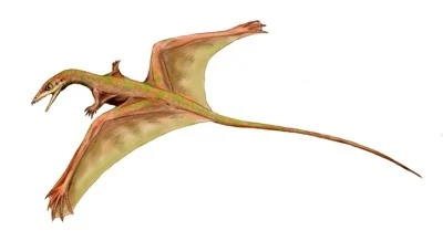 dinocomp-tm