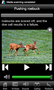 Lastest Roebuck Hunt APK
