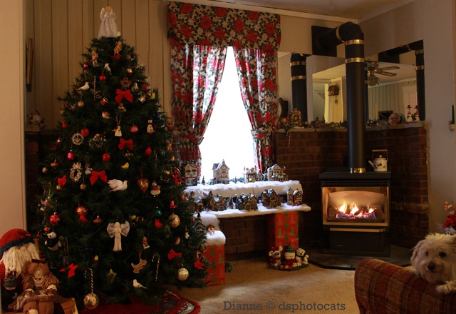 [IMG_3179 Christmas At My House[5].jpg]